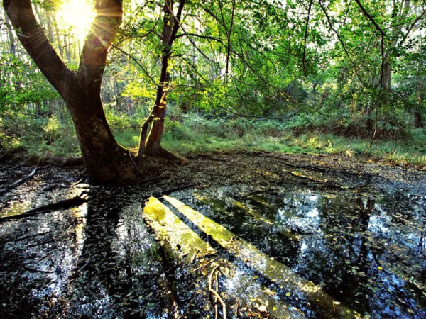 在你的記憶中是否有那麼一條小徑讓你難以忘懷？