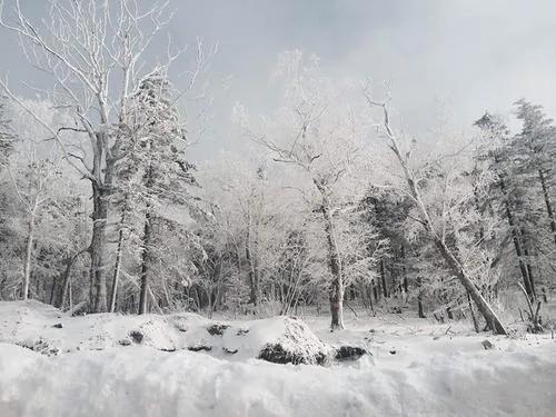 東北物產那麼豐富，古代燕國為何不向東北地區擴張？