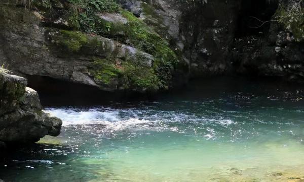 雲想衣裳花想容，春風拂面露華濃