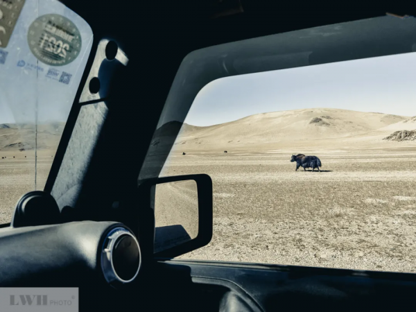 兩個人，一輛車，阿里北線無人區穿越