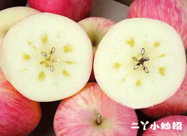 【健康】常吃蘋果的人,一定要注意這“四不吃” 【健康】常吃蘋果的人,一定要注意這“四不吃”