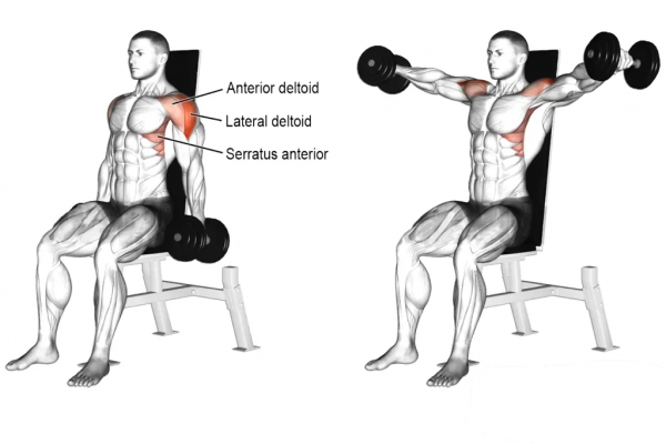 「耀&bull;健身」練遍全身，你只差一對啞鈴