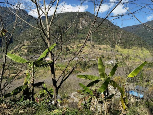 金庸筆下的無量山琅嬛瀑布神似王家箐的“飈水巖” 金庸筆下的無量山琅嬛瀑布神似王家箐的“飈水巖”