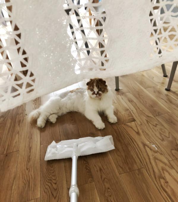 看完這10個家居品,我才知道,這些年我們沒少錯過提升幸福的機會 看完這10個家居品,我才知道,這些年我們沒少錯過提升幸福的機會