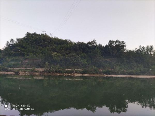 圖解山海經之南山一經：動物篇（4）