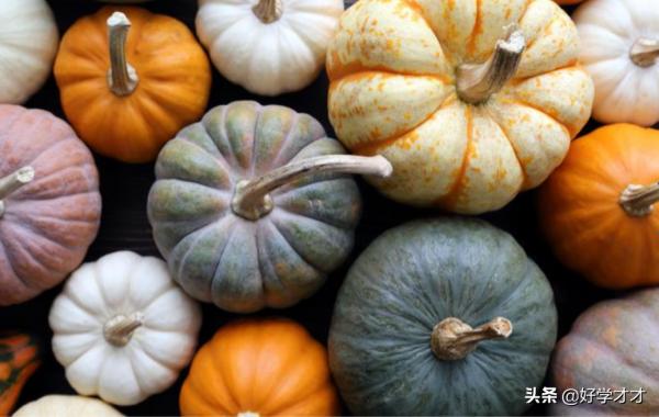 南瓜能給你帶來溫暖的感覺？科學解釋
