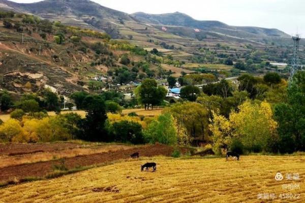 山西,讓我一次愛個夠之十五:山西結環穿+柏楊嶺堡/五眼井堡) 山西,讓我一次愛個夠之十五:山西結環穿+柏楊嶺堡/五眼井堡)