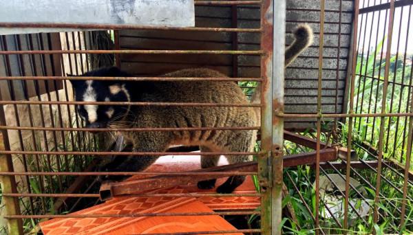 自駕出國旅行玩什麼？（02）漫談自駕旅行寮國