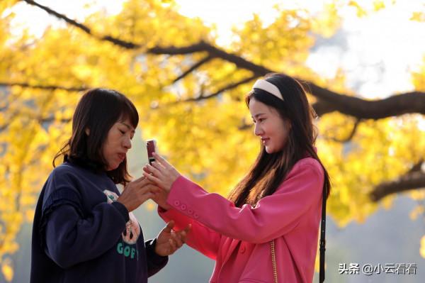 紅嘴鷗漫天,銀杏灑金,初冬翠湖風景入畫來 紅嘴鷗漫天,銀杏灑金,初冬翠湖風景入畫來