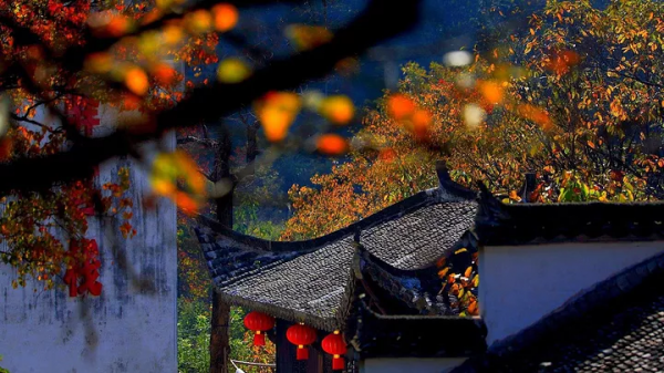 11月，國內這9個絕美山水之地，美成了一幅畫！隨手一拍都是桌布