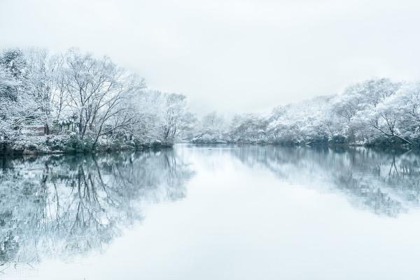 新疆的雪美不勝收