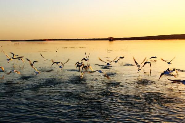 “大漠孤煙直,長河落日圓”,去看看王維筆下沙漠中的那個居延海 “大漠孤煙直,長河落日圓”,去看看王維筆下沙漠中的那個居延海