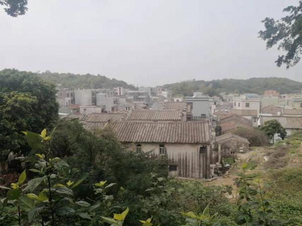 汛洲島，一座美麗的海島，一段豐富多彩的旅程