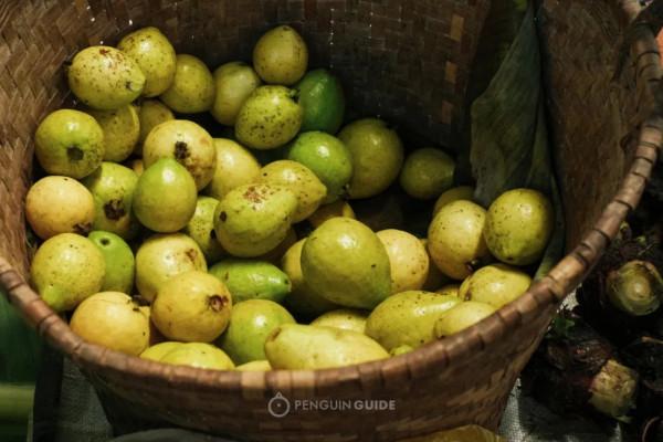 全國秋天神仙菜市場大賞 全國秋天神仙菜市場大賞