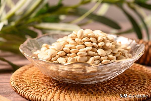 腳踏車騎行愛好者必須知道的10種食物,提升活力,激發狀態 腳踏車騎行愛好者必須知道的10種食物,提升活力,激發狀態