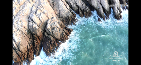 最新一期《風味人間3》裡的佛手螺,你吃過嗎? 最新一期《風味人間3》裡的佛手螺,你吃過嗎?