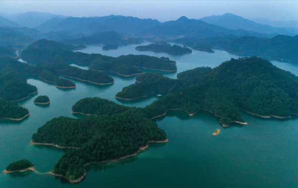 “美國白鱘”紮根中國，壽命達30多年，漏網之魚逃入千島湖？