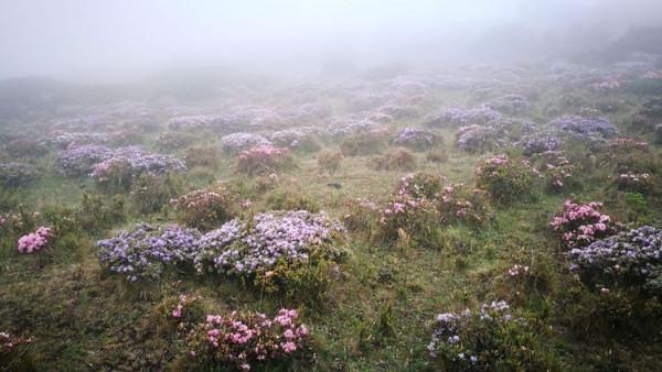 神秘的大涼山 神秘的大涼山