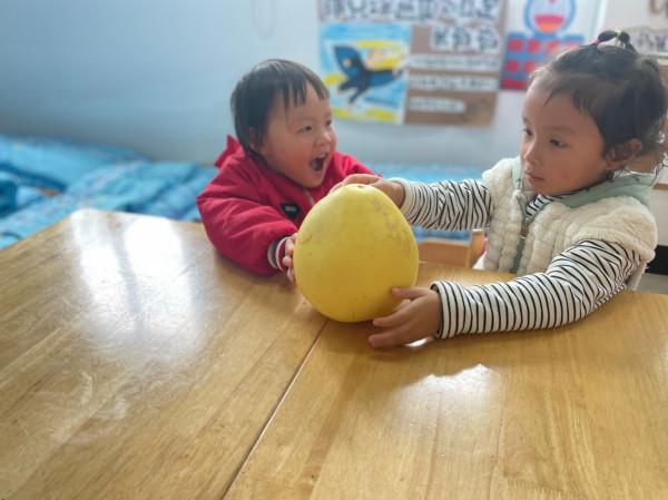 南馬中心幼兒園防軍園區：柚子探一探