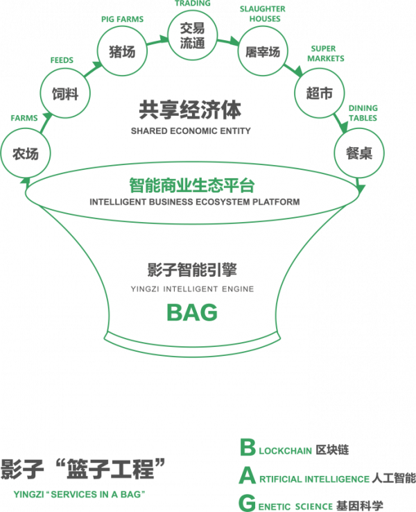 楊士葶：90後董事長的“科技助農”之路