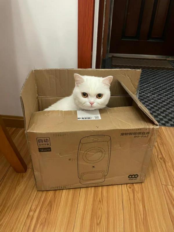 高階就是高保值嗎?你怎麼看? 高階就是高保值嗎?你怎麼看?