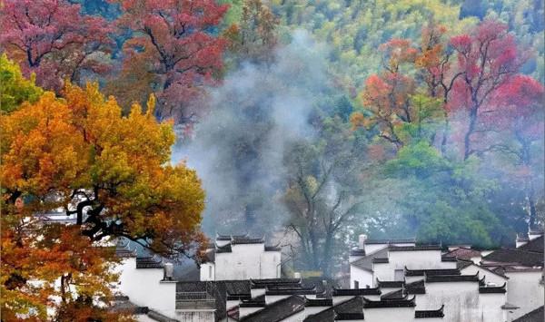 入選“最美中國符號”，被央視熱贊，現在來賞秋正當時