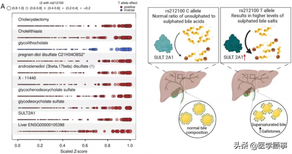 Science發表人類疾病“基因-蛋白-表型三聯體”解析疾病致病機制 Science發表人類疾病“基因-蛋白-表型三聯體”解析疾病致病機制