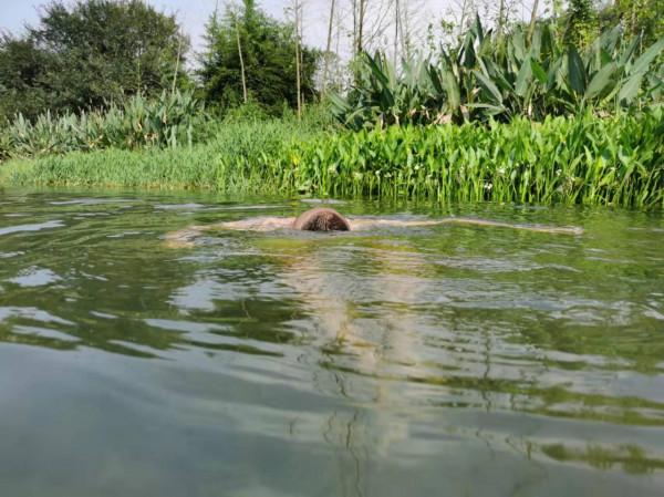 寶馬少年的自我毀滅