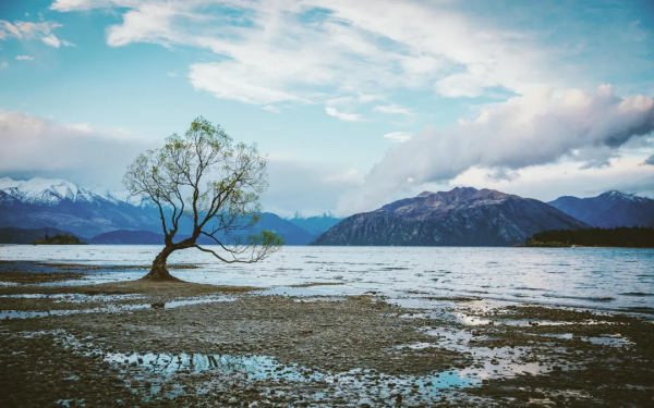 莊子:人唯孤獨,方能出眾 莊子:人唯孤獨,方能出眾