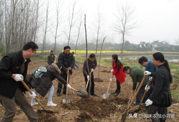 秋季栽種樹木要比春季栽種樹木更容易成活!你知道為什麼嗎? 秋季栽種樹木要比春季栽種樹木更容易成活!你知道為什麼嗎?