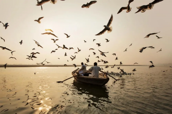 官宣清零！出遊有望！搭上12月末班車，去看看古楓成林的浪漫秋色