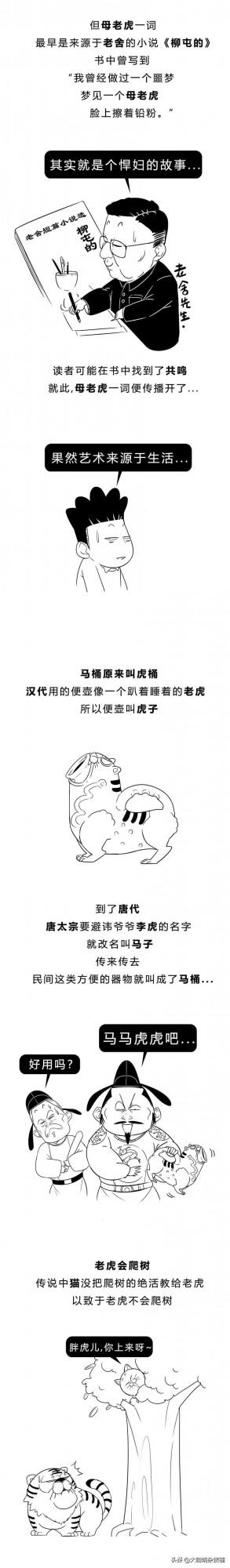 &OpenCurlyDoubleQuote;虎&rdquo;竟然是計量單位？貓師傅為啥不教老虎上樹？虎年冷知識走起