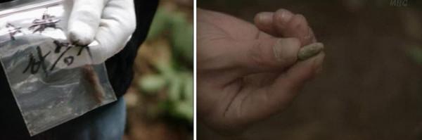 30年前，韓國五名少年失蹤，11年後發現纏在一起的屍骨，上壓巨石