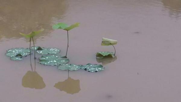 潔源：在紅軍老家沙洲壩，別有一源幽