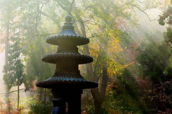 ​人到中年，放下菸酒，與茶為友