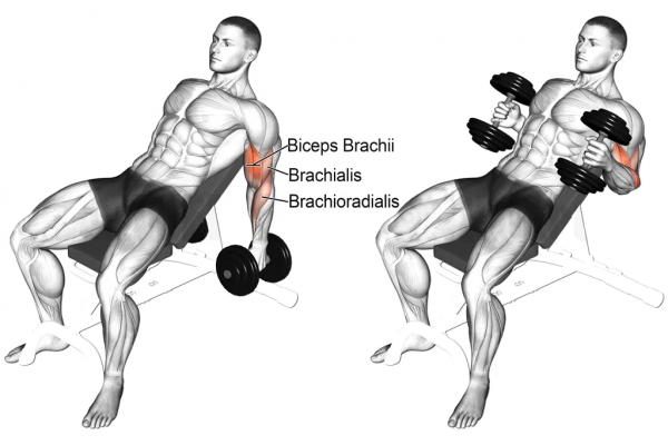 「耀&bull;健身」練遍全身，你只差一對啞鈴