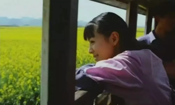 這些在雲南拍的經典電影,你看過幾部? 這些在雲南拍的經典電影,你看過幾部?