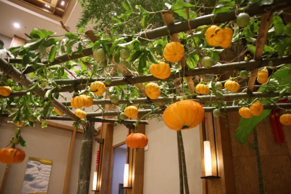 草木惠,引領康養度假定製年代 草木惠,引領康養度假定製年代