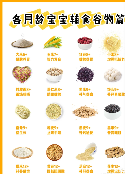 6-12個月寶寶輔食新增順序,超全不會錯 6-12個月寶寶輔食新增順序,超全不會錯