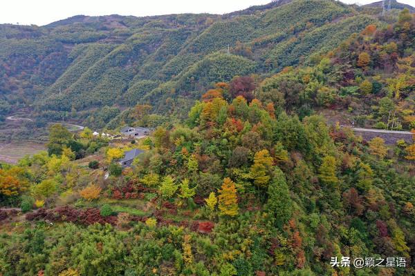 寧波有個古村,媲美篁嶺秋色,去過25次,你去過嗎 寧波有個古村,媲美篁嶺秋色,去過25次,你去過嗎