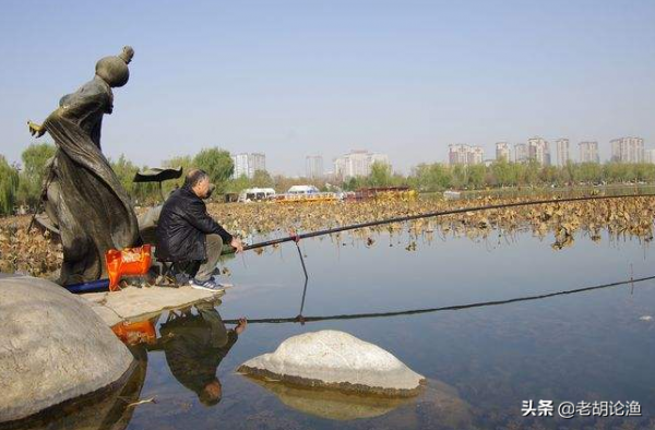 初春怎麼找魚窩？遵循“4”個找窩特徵，鯽魚多到抬不動