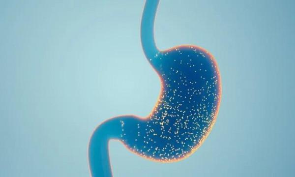 盤點那些正在&OpenCurlyDoubleQuote;毒害&rdquo;大家的&OpenCurlyDoubleQuote;偽知識&rdquo;，不吃早餐等於吃翔？