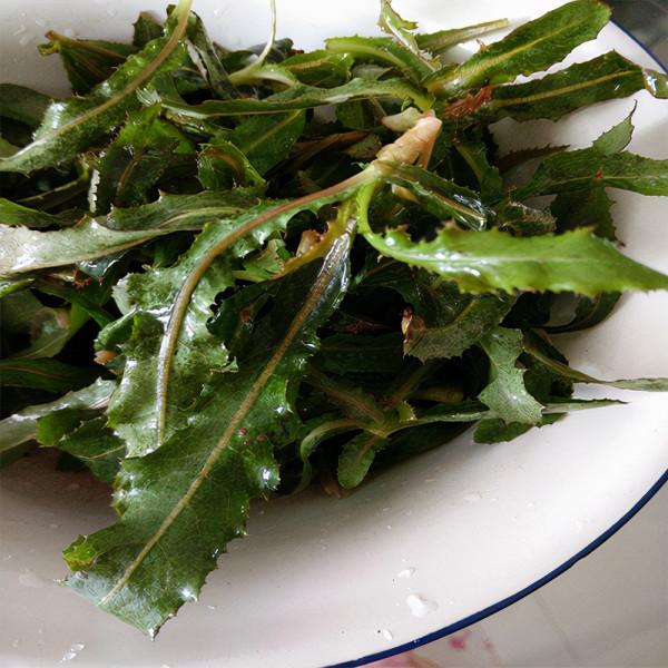 6種常見野菜，比青菜好吃營養，解膩養人，你吃過幾種？不要錯過