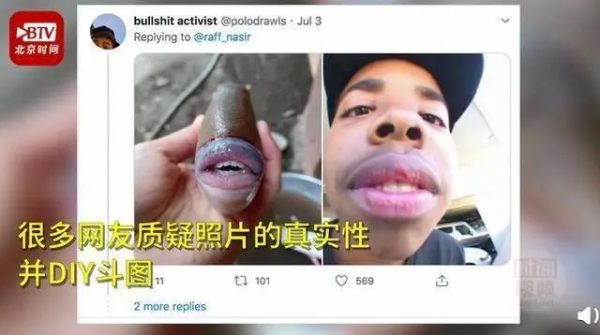 炮彈魚:不僅長得像炮彈,脾氣還很火爆 炮彈魚:不僅長得像炮彈,脾氣還很火爆