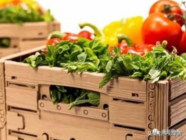 二連口岸何時恢復尚不明確，蒙古蔬菜價格上漲面臨“休克”風險