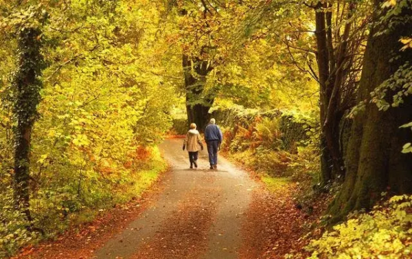 最適合老人養生的10個旅行地,2021不留遺憾,帶上父母出發吧 最適合老人養生的10個旅行地,2021不留遺憾,帶上父母出發吧