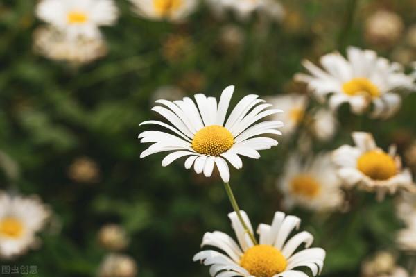 退休之後，把控好自己的情緒，也就過好了餘生