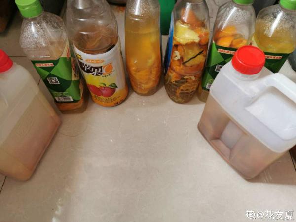 自己做花肥，不花一分錢，肥料更好用，營養還齊全