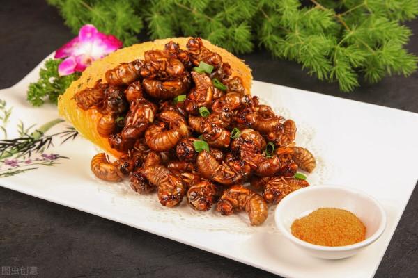 天黑後去抓知了猴,油炸金蟬,香酥美味 天黑後去抓知了猴,油炸金蟬,香酥美味