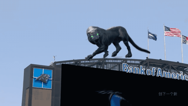 NFL球場驚現黑豹，觀眾都看呆了